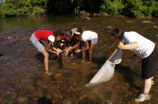 Environmental Education