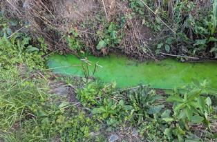 Report a Watershed Issue