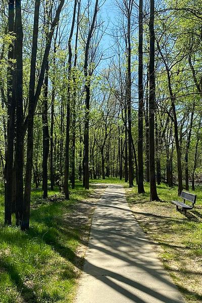Family Friendly Walk