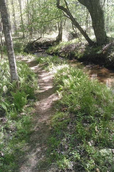 December FSO - Hike with Us!