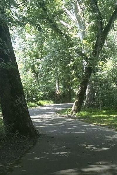 Feb FSO - Danville River Walk