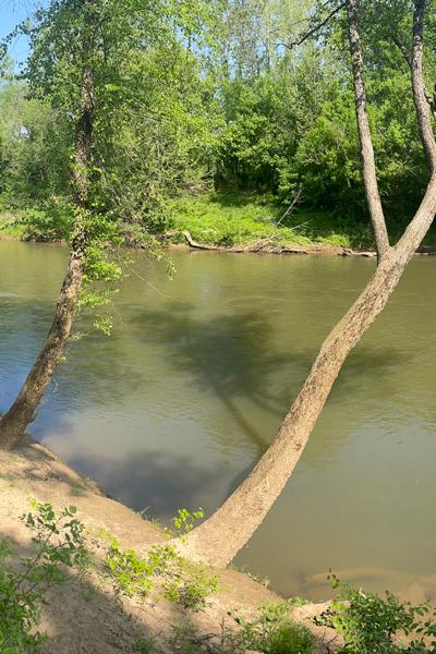 CANCELED! Aug FSO - Paddle on Dan River