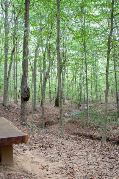 April FSO - Knight Brown Hike!