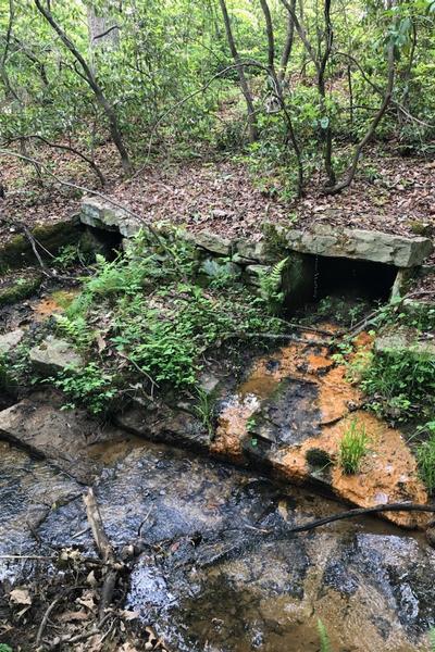 Mar FSO RCC Hike