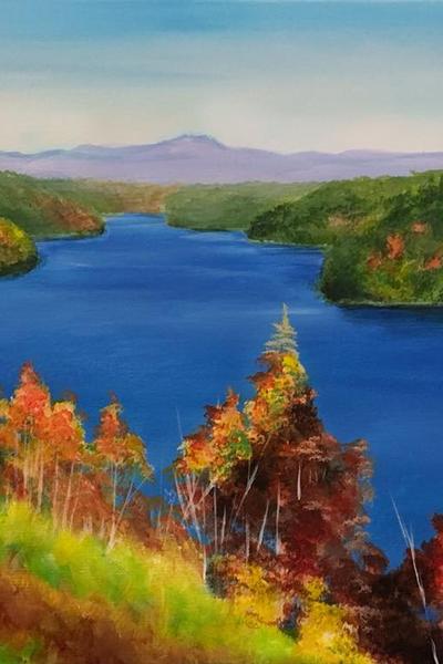 Painting for a Cause - DRBA