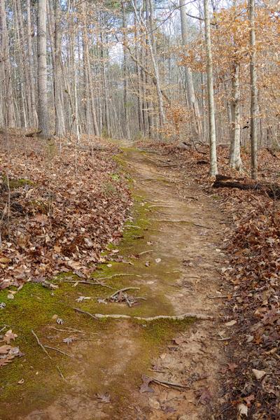 Feb FSO Red Tail Hawk Trail
