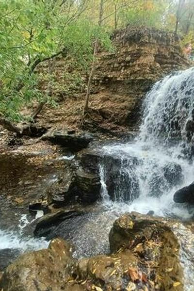 FEB FSO - Tanyard Creek, NC