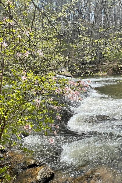Nov FSO - Hike @ Future VA Mayo River State Park