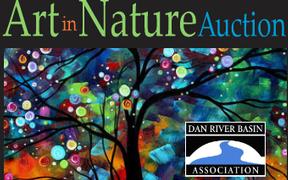 Art In Nature No Year
