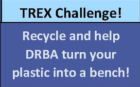 Trex Challenge