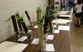 Elementary Students Showcase TIC and STIC at Spring Exhibition of Learning