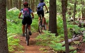 MAYODAN MOUNTAIN BIKE TRAIL BUILDING DAYS! MULTIPLE DAYS TO PARTICIPATE!