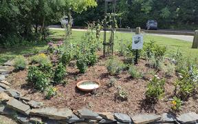 Dedication of Monarch Waystation at Anglers Park