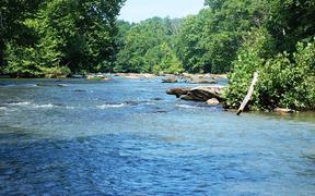 Places That Connect: Gravely Nature Preserve, Henry County