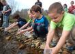 Trout in the Classroom