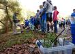 Streamside Trees in the Classroom