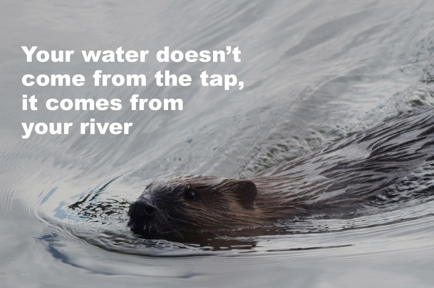 Your Water Doesn't Comes From The Tap