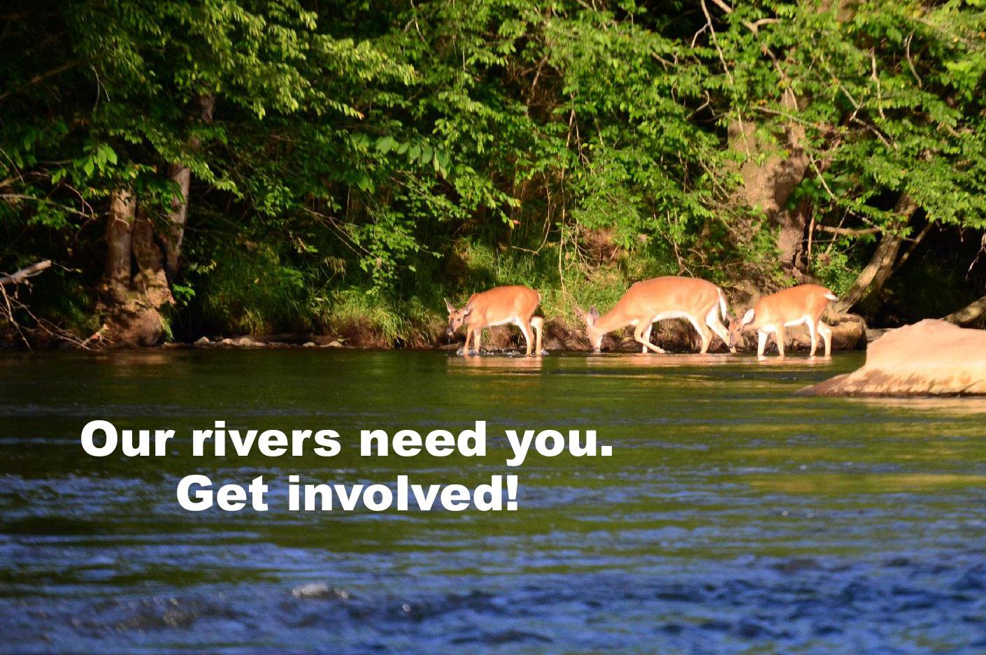 Our Rivers Need You. Get Involved! 