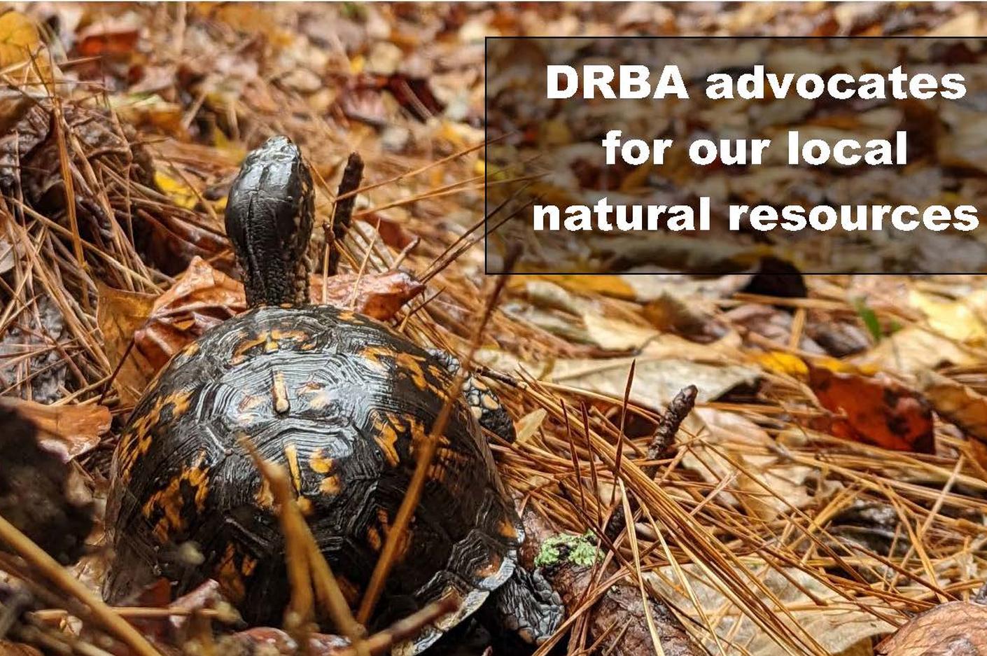 Fall_DRBA Advocates