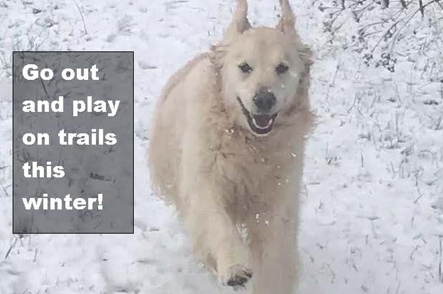 WINTER_PLAY