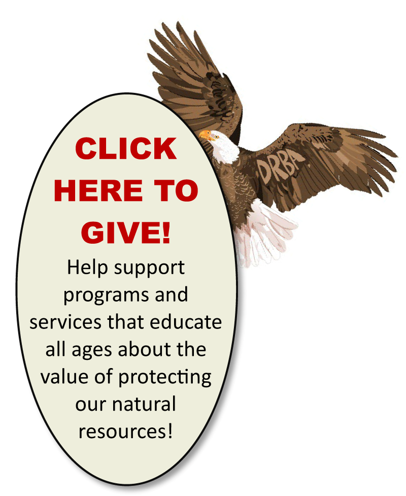 Give to support bald eagle conservation