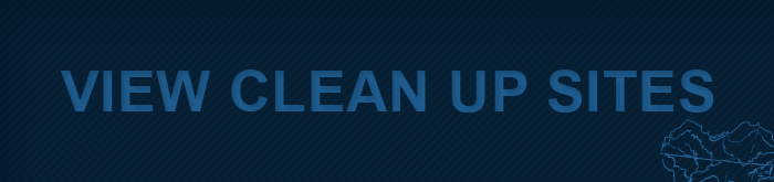 Clean up sites