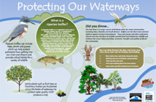 Protecting Our Waterways