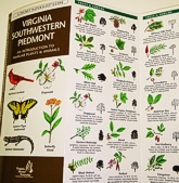 Plants and Animals