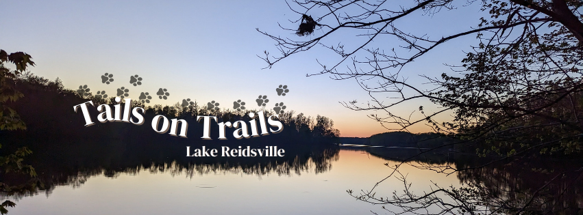 A photo of Lake Reidsville at sunset with the logo- Tails on Trails